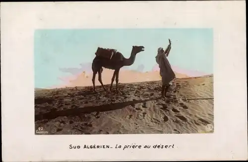 Ak Sud Algerien, La priere au desert, Bettender Mann, Wüste, Kamel