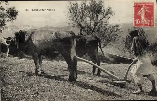 Ak Laboureur Kabyle, Araber, Landwirtschaft, Pflug