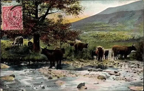 Ak Aberfoyle Schottland, Highland Cattle