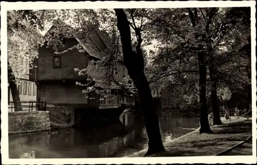 Ak Erfurt in Thüringen, Am Dämmchen