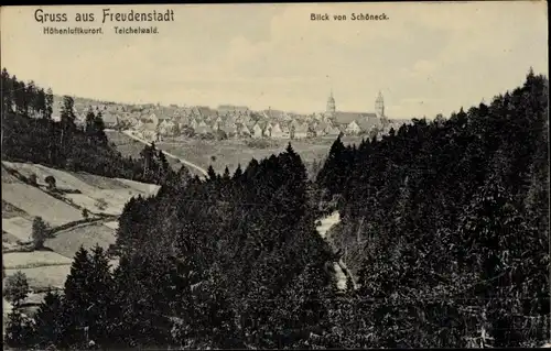 Ak Freudenstadt im Nordschwarzwald, Teichelwald, Blick von Schöneck