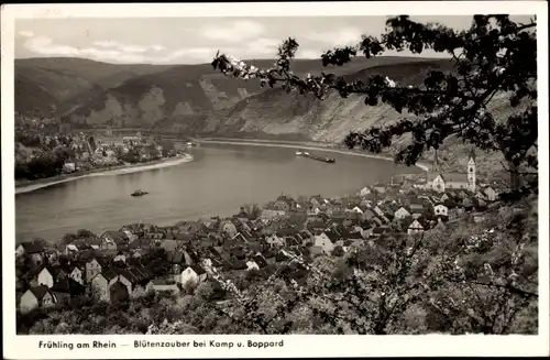 Ak Kamp Bornhofen am Rhein, Blütenzauber bei Kamp und Boppard, Frühling, Panorama