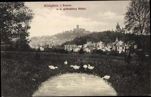 Ak Königstein im Taunus Hessen, Stadtpanorama von der Falkensteiner Mühle, Gänse