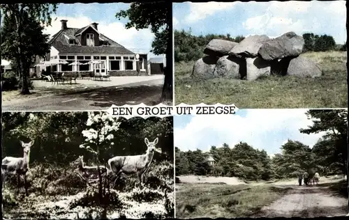 Ak Zeegse Drenthe, Hotel Berg en Dal, Rehe, Felsen