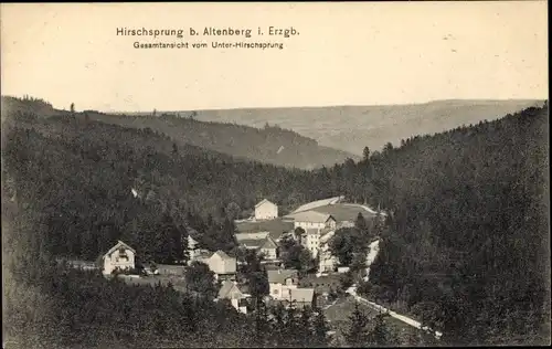 Ak Unter Hirschsprung Altenberg im Erzgebirge, Totalansicht, Wald