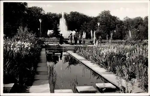 Ak Dresden, Dresdner Jahresschau 1937, Garten und Heim, Irisgarten, Wasserkunst