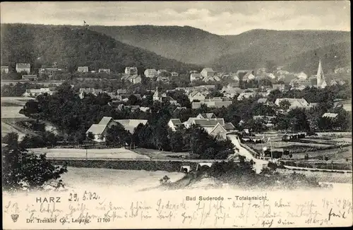 Ak Bad Suderode Quedlinburg im Harz, Totalansicht