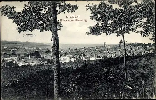 Ak Siegen in Westfalen, Panorama vom Häusling aus