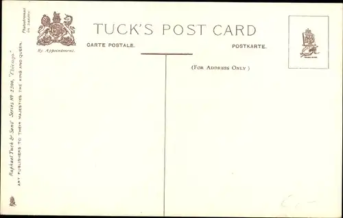 Ak Chicago Illinois USA, North Shore Drive, Residence of Mrs. Potter Palmer