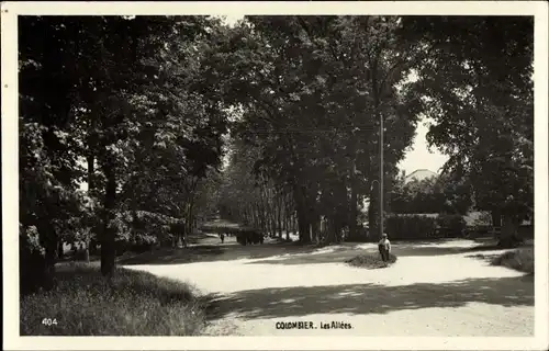 Ak Colombier Kanton Neuenburg Schweiz, Les Allees