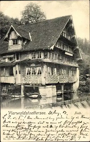 Ak Treib Seelisberg Kanton Uri, Vierwaldstättersee