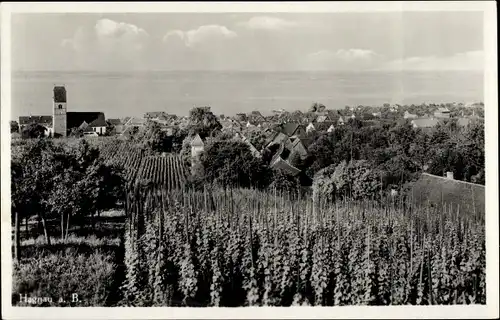 Ak Hagnau am Bodensee, Totalansicht