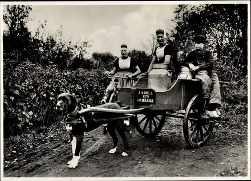 Ak Koudekerke Zeeland, Hundekarre, Milchkarre