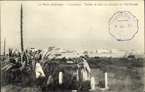 Ak Casablanca Marokko, Tombes d aloes au cimetiere de Sidi Behoud
