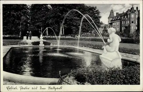 Ak Erfurt in Thüringen, Partie aus dem Stadtpark