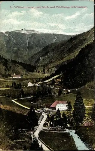 Ak Feldberg im Schwarzwald, St. Wilhelmertal, Panorama