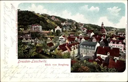 Ak Dresden Loschwitz, Blick vom Burgberg