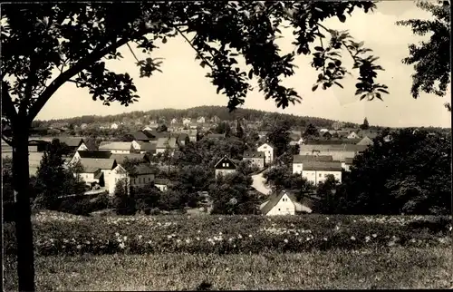 Ak Hartha Hintergersdorf Tharandt im Erzgebirge, Teilansicht