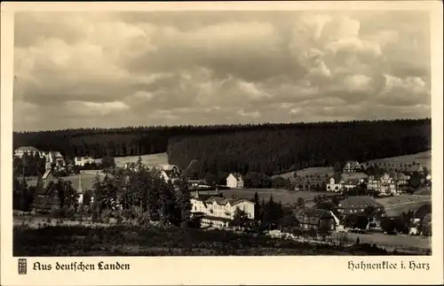 Ak Hahnenklee Bockswiese Goslar im Harz, Panorama