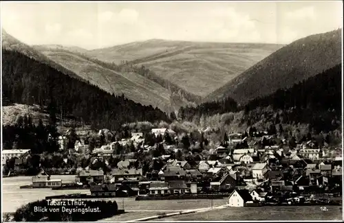 Ak Tabarz im Thüringer Wald, Blick von Deysingslust