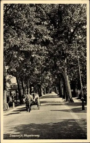 Ak Steenwijk Overijssel, Meppelerweg