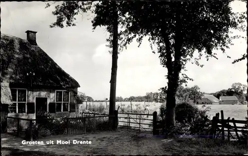 Ak Mooi Drenthe Niederlande, Reetdachhaus