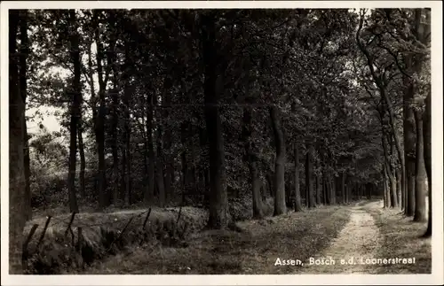 Ak Assen Drenthe Niederlande, Bosch a. d. Loonerstraat