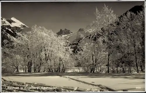 Ak Engelberg Kanton Obwalden Schweiz, Rauhreif, Spannörter