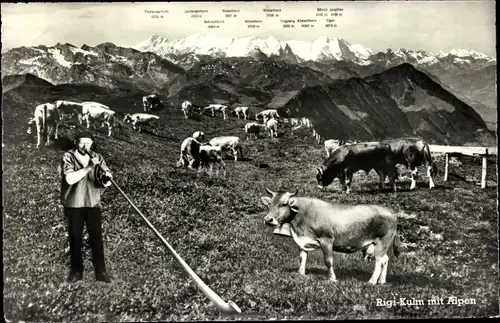 Ak Rigi Kulm Kanton Schwyz, Alpenpanorama, Bauer, Rind