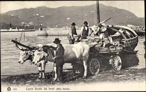 Ak Italien, Carro tirato da bovi, Fuhrwerk, Italienische Tracht