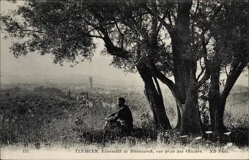 Ak Tlemcen Algerien, Ensemble de Mansourah, vue prise des Oliviers
