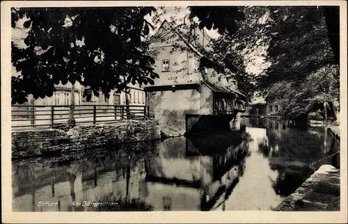 Ak Erfurt in Thüringen, Am Dämmchen