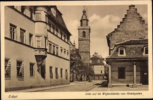 Ak Erfurt in Thüringen, Wigbertikirche vom Hirschgarten aus