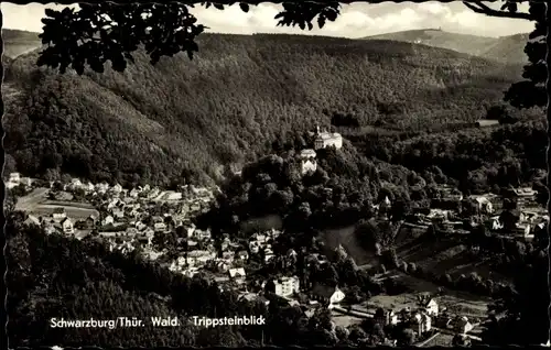 Ak Schwarzburg in Thüringen, Trippsteinblick