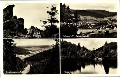 Ak Erlbach im Vogtland Sachsen, Gesamtansicht, Flossteich, Hoher Stein, Landesgemeindetal