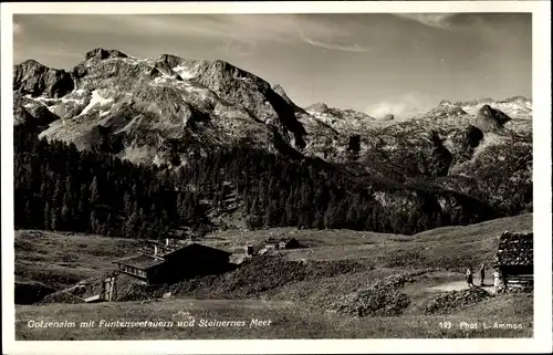 Ak Berchtesgaden in Oberbayern, Gotzenalm, Funterseetauern, Steinernes Meer