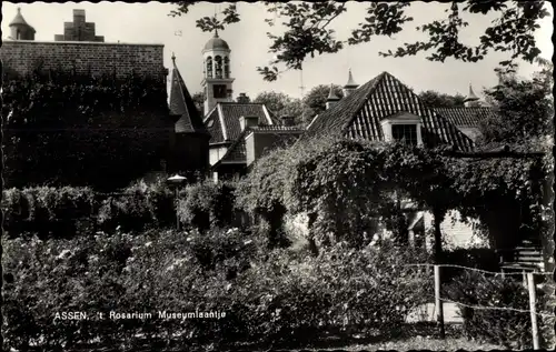 Ak Assen Drenthe Niederlande, 't Rosarium Museumlaantje