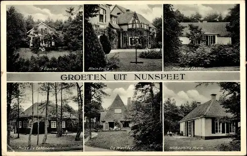 Ak Nunspeet Gelderland, Klein Erica, Huize de Ekster, Wilhelmina Hoeve, De Wachter