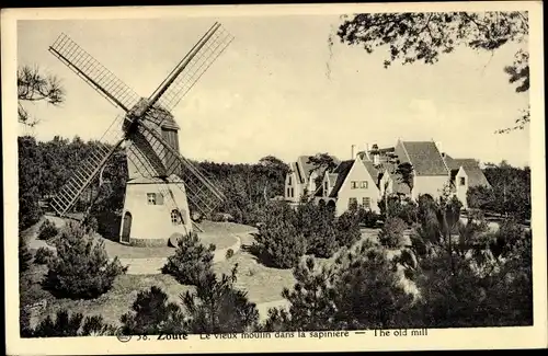 Ak Zoute Knokke Heist Westflandern, Le vieux moulin dans la sapiniere