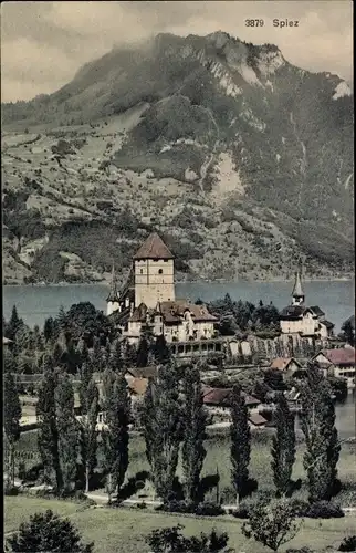 Ak Aeschi bei Spiez Kanton Bern, Ort mit Umgebung