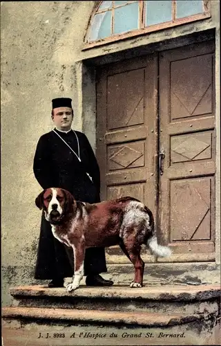 Ak St Bernard Sankt Bernhard Kanton Wallis, A l'Hospice du Grand St. Bernard, Bernhardiner, Pastor