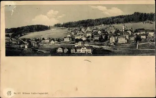 Ak Ormont Dessus Kanton Waadt, Panorama vom Ort