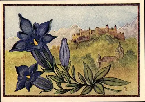 Künstler Ak Salzburg in Österreich, Festung