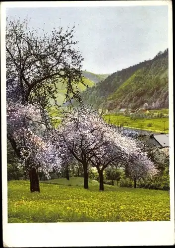 Ak Dobkovice Topkowitz Region Aussig, Frühling, Landschaft