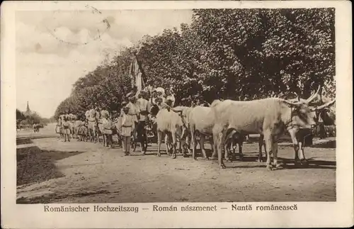 Ak Rumänischer Hochzeitszug, Roman naszmenet, Rind