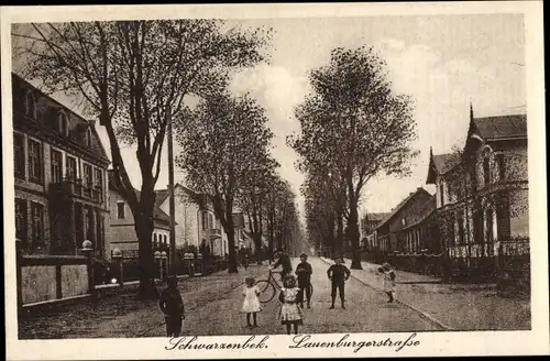 Ak Schwarzenbek in Lauenburg, Laubenburgerstraße