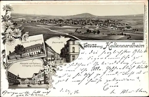 Litho Kaltennordheim in der Rhön, Neumarkt, Schloss, Amtsgericht, Rathaus, Totalansicht