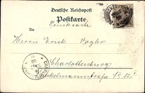 Litho Benneckenstein Oberharz, Bergstraße, Rinder, Postamt, Waldscchlösschen, Totalansicht