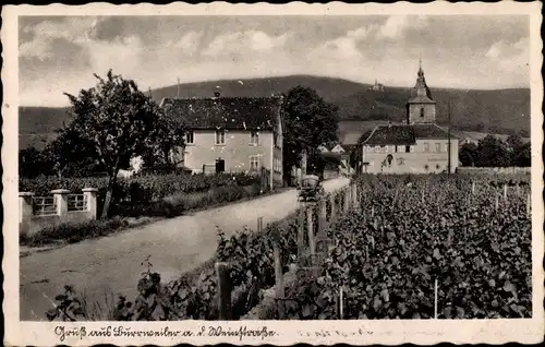 Ak Burrweiler in der Pfalz, Blick auf den Ort, Straße, Garten