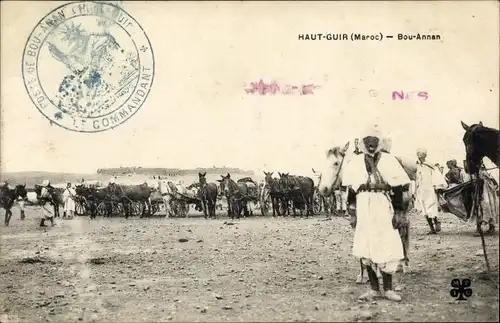 Ak Bou Annan Marokko, vue générale des chevaux